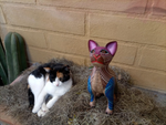 Cat Fusion Alebrije Figurine, Handmade Home Decor, Folk Art from Oaxaca Mexico, Original Wood Sculpture, Carved Animals, Unique Cat Statue